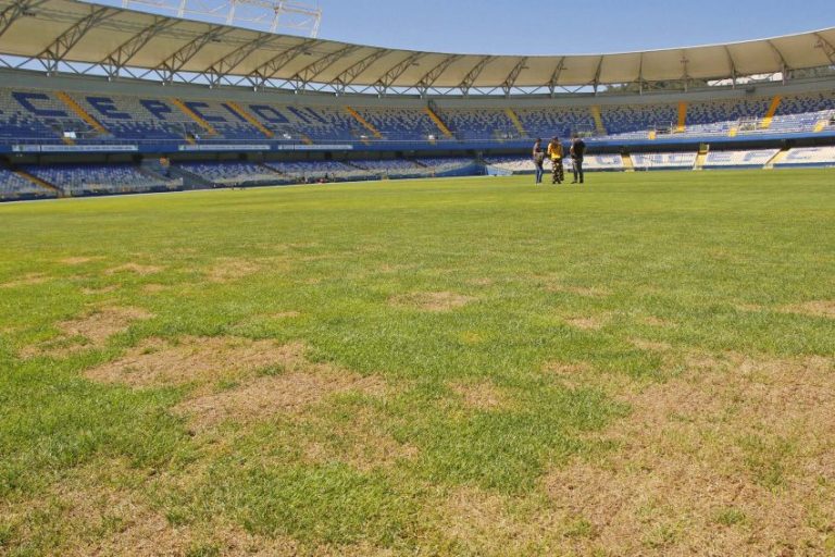 pag-20-cancha-estadio-ester-roa-foto-isidoro-e1736820199284